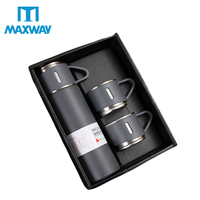 Stainless Steel Thermos Bottle Set
